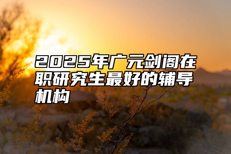 2025年广元剑阁在职研究生最好的辅导机构