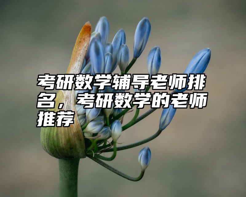 考研数学辅导老师排名,考研数学的老师推荐