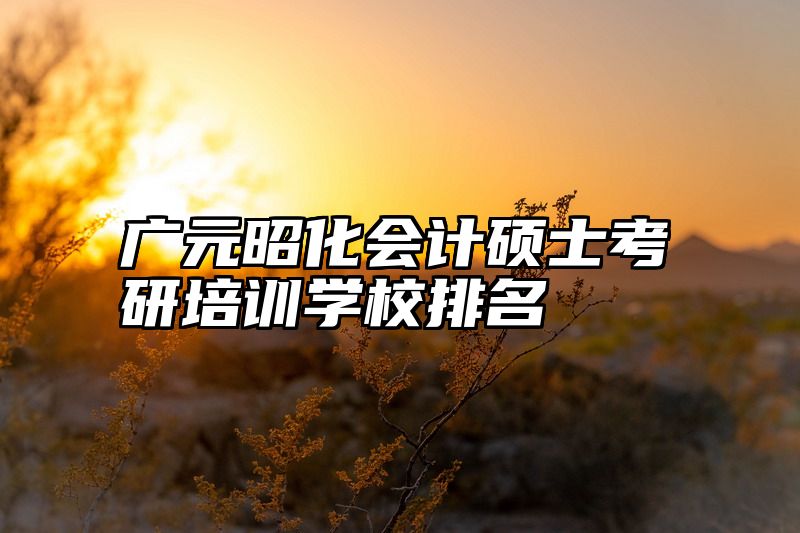 广元昭化会计硕士考研培训学校排名