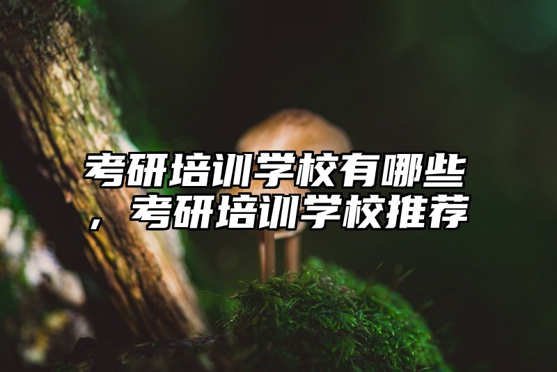 考研培训学校有哪些，考研培训学校推荐
