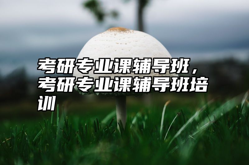 考研专业课辅导班，考研专业课辅导班培训