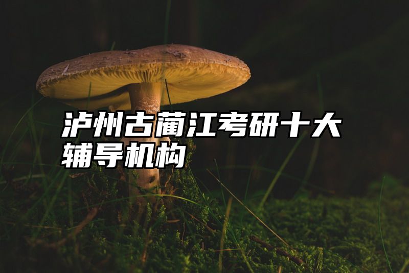 泸州古蔺江考研十大辅导机构