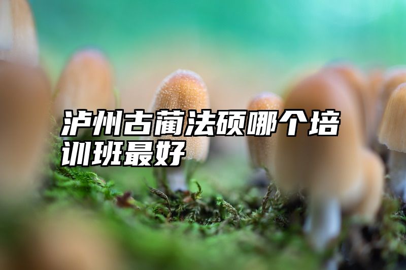 泸州古蔺法硕哪个培训班最好