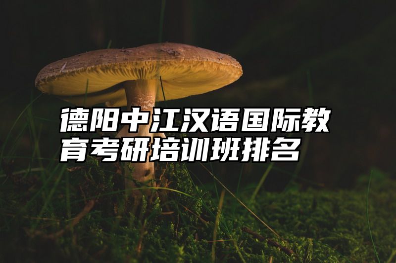 德阳中江汉语国际教育考研培训班排名