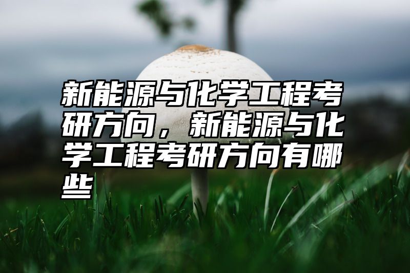 新能源与化学工程考研方向,新能源与化学工程考研方向有哪些