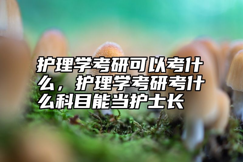 护理学考研可以考什么，护理学考研考什么科目能当护士长