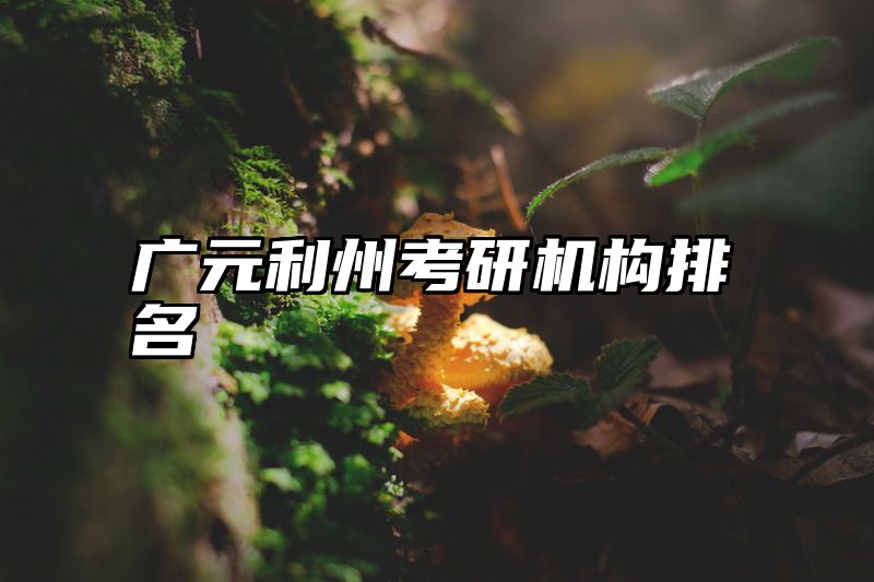 广元利州考研机构排名