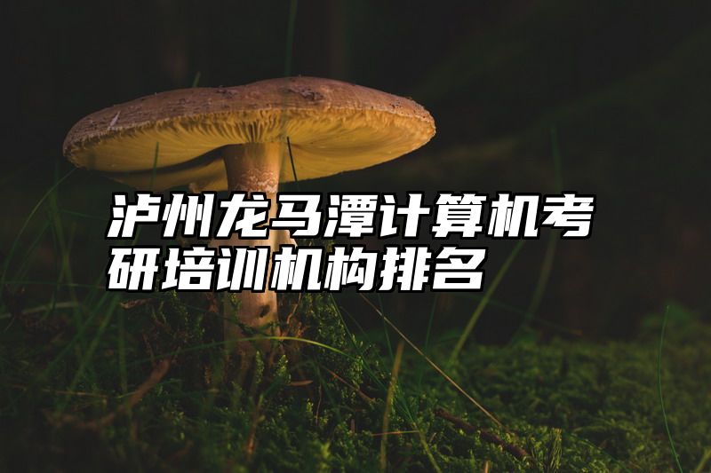 泸州龙马潭计算机考研培训机构排名