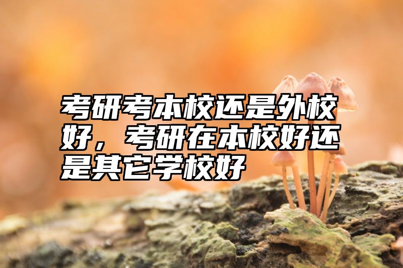考研考本校还是外校好，考研在本校好还是其它学校好