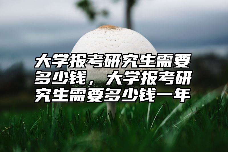大学报考研究生需要多少钱，大学报考研究生需要多少钱一年