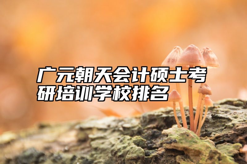 广元朝天会计硕士考研培训学校排名