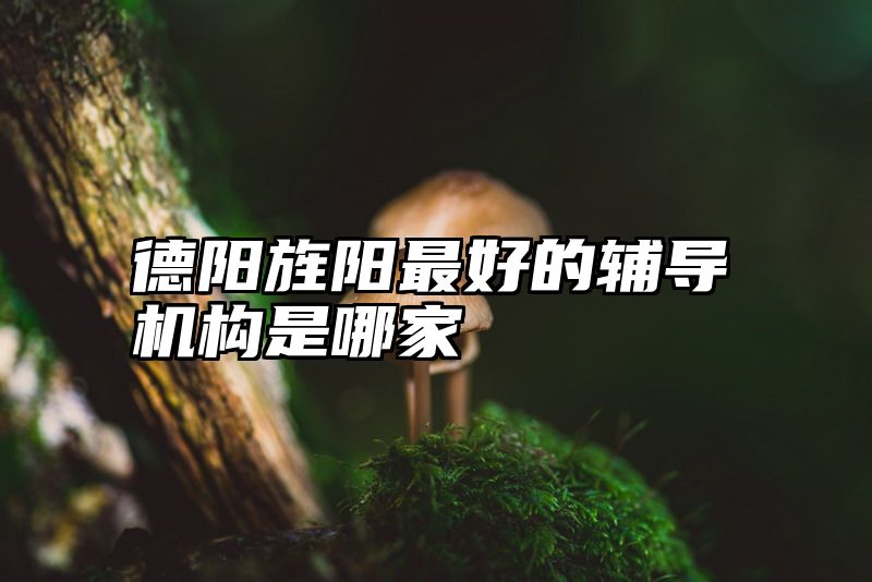 德阳旌阳最好的辅导机构是哪家
