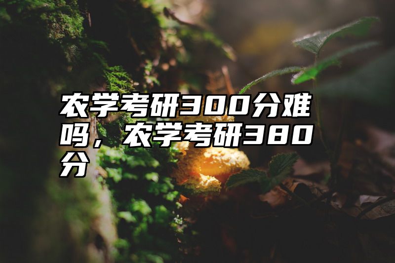农学考研300分难吗，农学考研380分