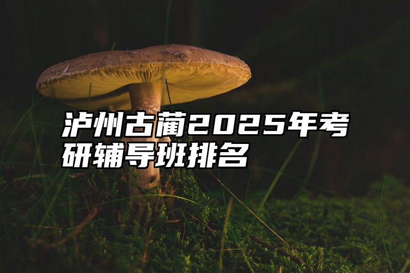 泸州古蔺2025年考研辅导班排名