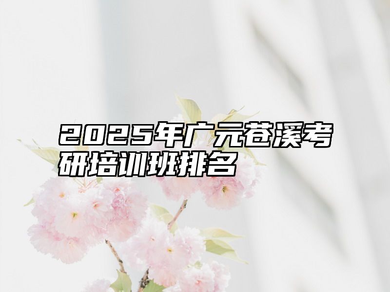 2025年广元苍溪考研培训班排名