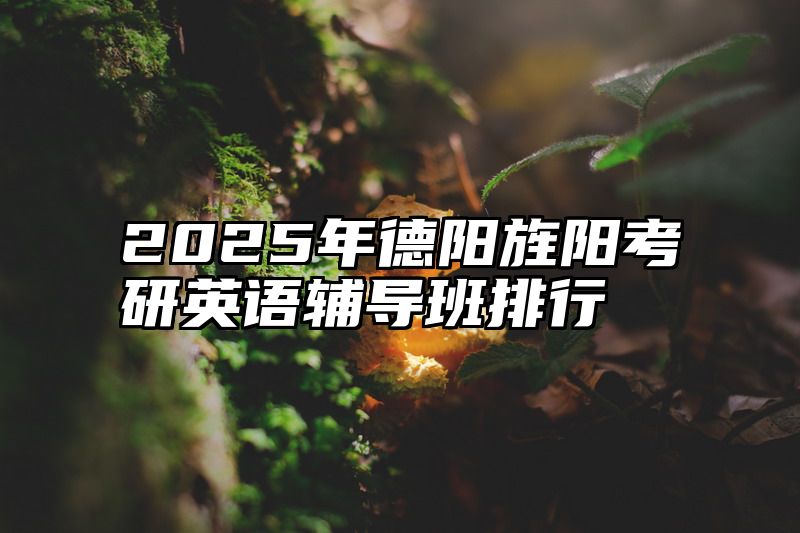 2025年德阳旌阳考研英语辅导班排行