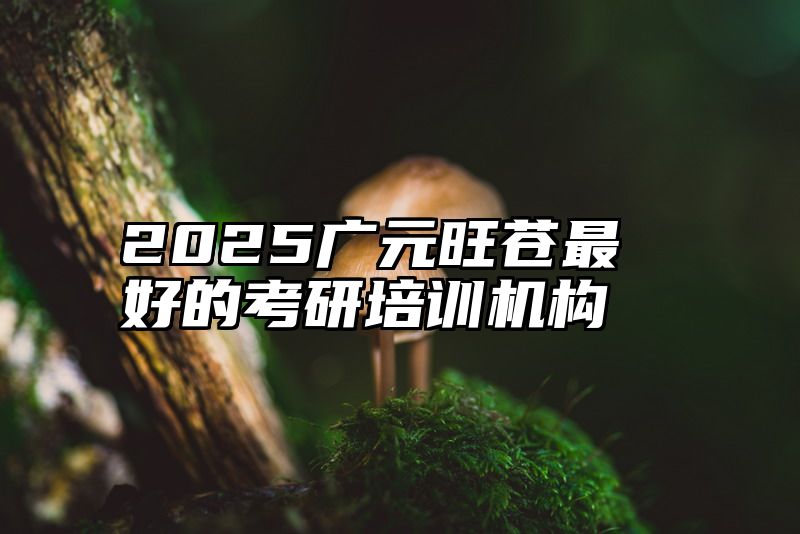 2025广元旺苍最好的考研培训机构