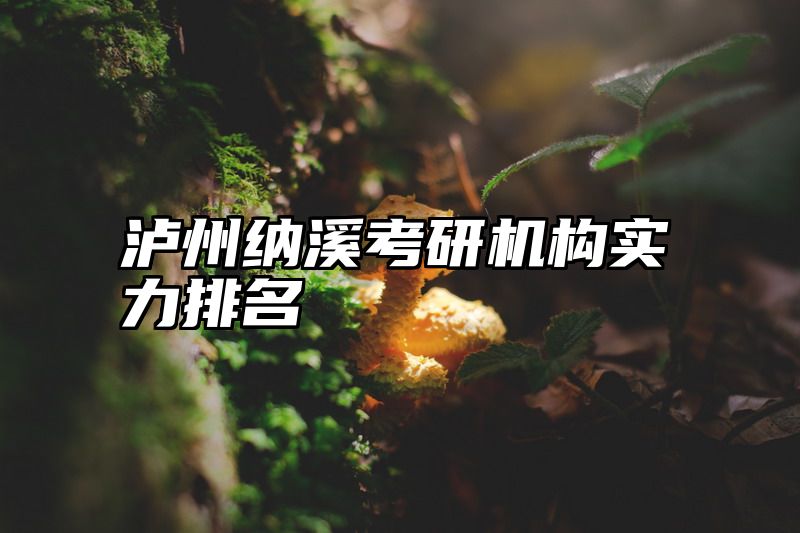 泸州纳溪考研机构实力排名