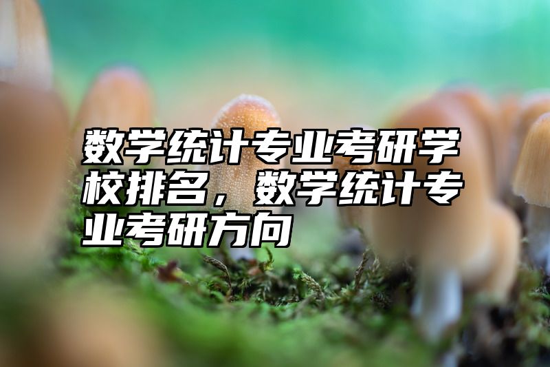 数学统计专业考研学校排名,数学统计专业考研方向