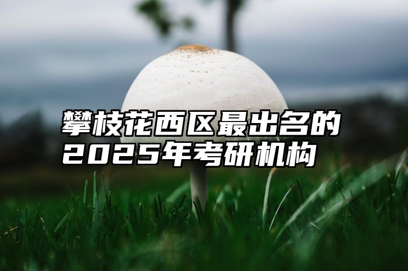 攀枝花西区最出名的2025年考研机构