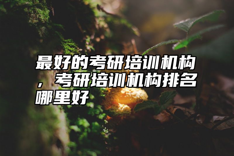 最好的考研培训机构，考研培训机构排名哪里好
