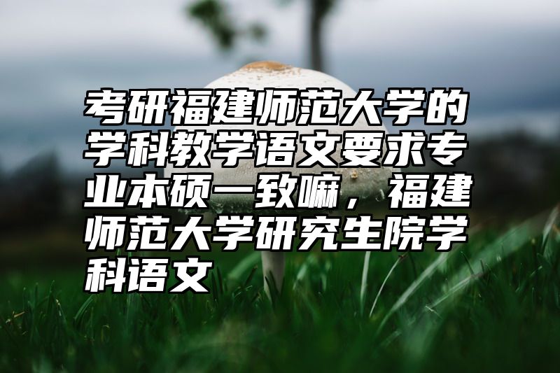 考研福建师范大学的学科教学语文要求专业本硕一致嘛，福建师范大学研究生院学科语文