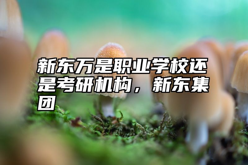 新东万是职业学校还是考研机构，新东集团