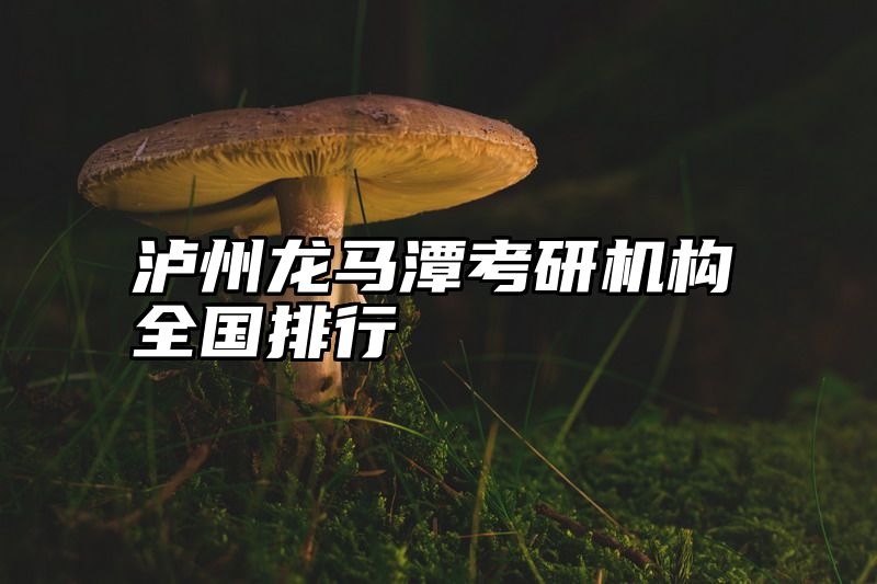 泸州龙马潭考研机构全国排行