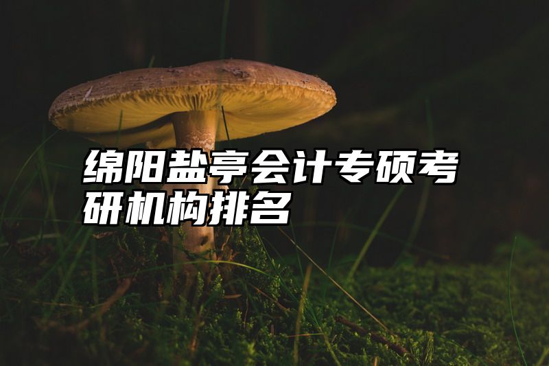 点击查看《绵阳盐亭会计专硕考研机构排名》全文