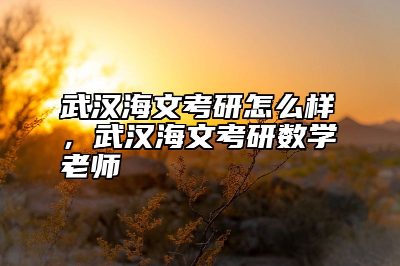 武汉海文考研怎么样，武汉海文考研数学老师