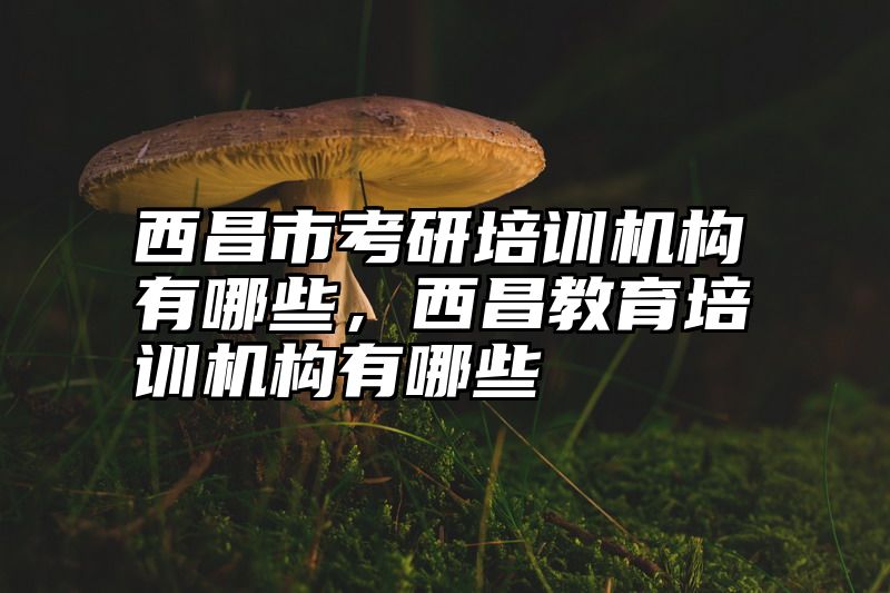 西昌市考研培训机构有哪些,西昌教育培训机构有哪些
