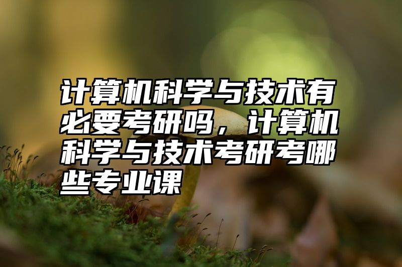 计算机科学与技术有必要考研吗，计算机科学与技术考研考哪些专业课