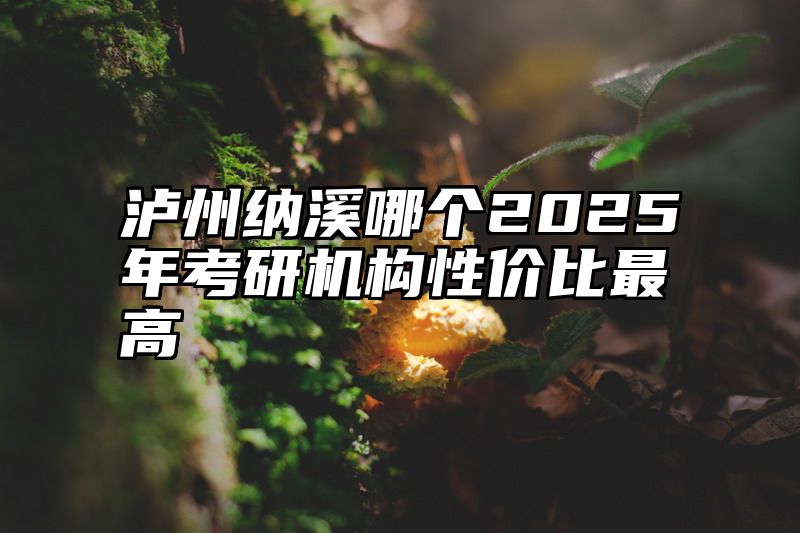 泸州纳溪哪个2025年考研机构性价比最高