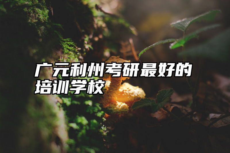 广元利州考研最好的培训学校