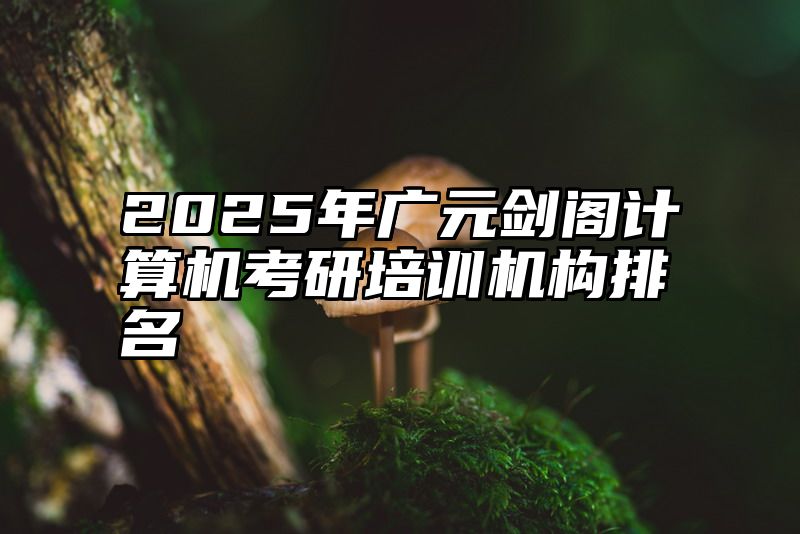 2025年广元剑阁计算机考研培训机构排名