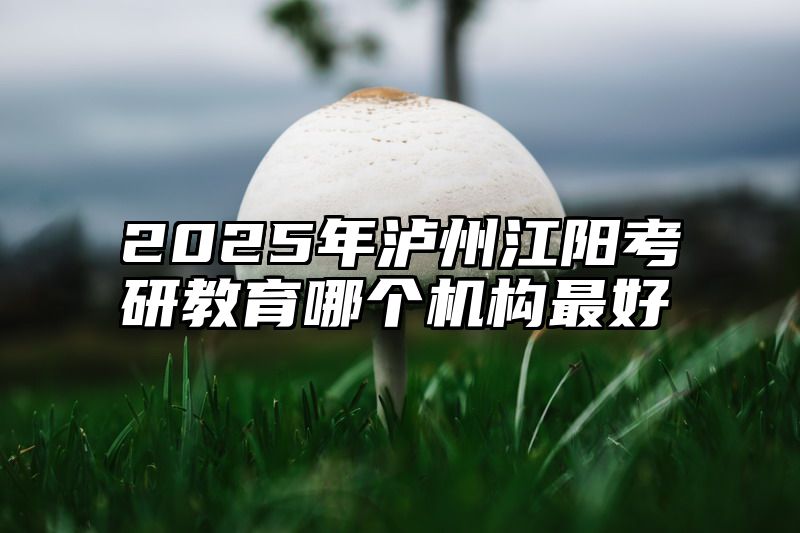 2025年泸州江阳考研教育哪个机构最好