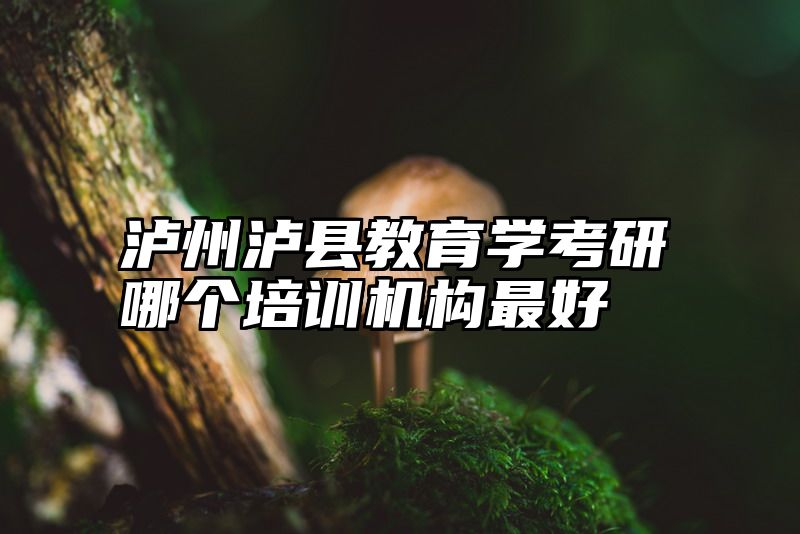 泸州泸县教育学考研哪个培训机构最好
