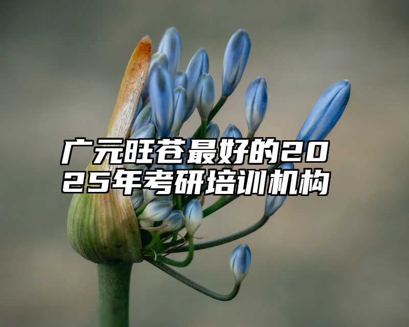 广元旺苍最好的2025年考研培训机构