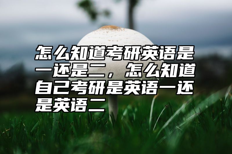 怎么知道考研英语是一还是二，怎么知道自己考研是英语一还是英语二