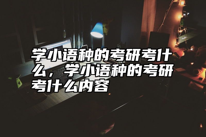 学小语种的考研考什么，学小语种的考研考什么内容