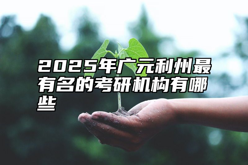 2025年广元利州最有名的考研机构有哪些