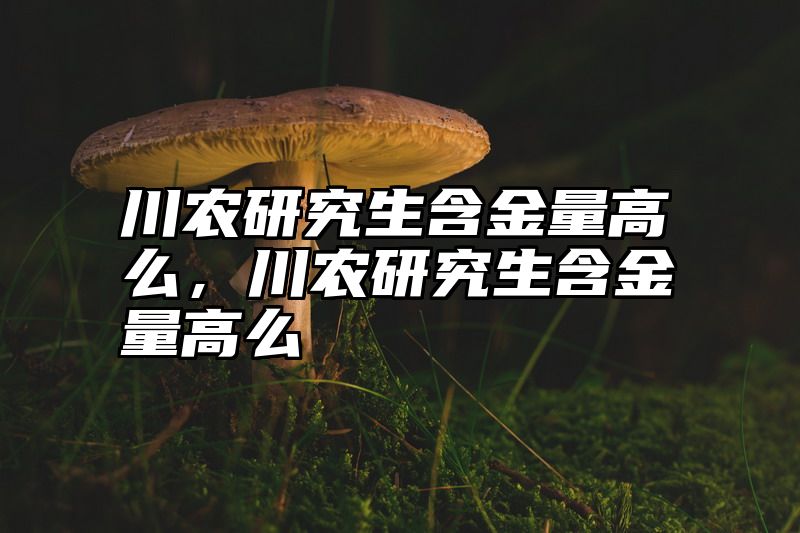 川农研究生含金量高么，川农研究生含金量高么