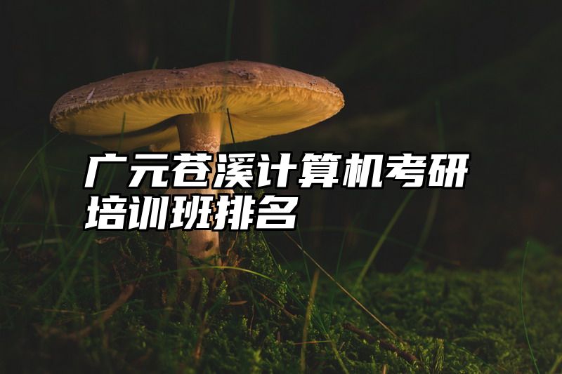 广元苍溪计算机考研培训班排名