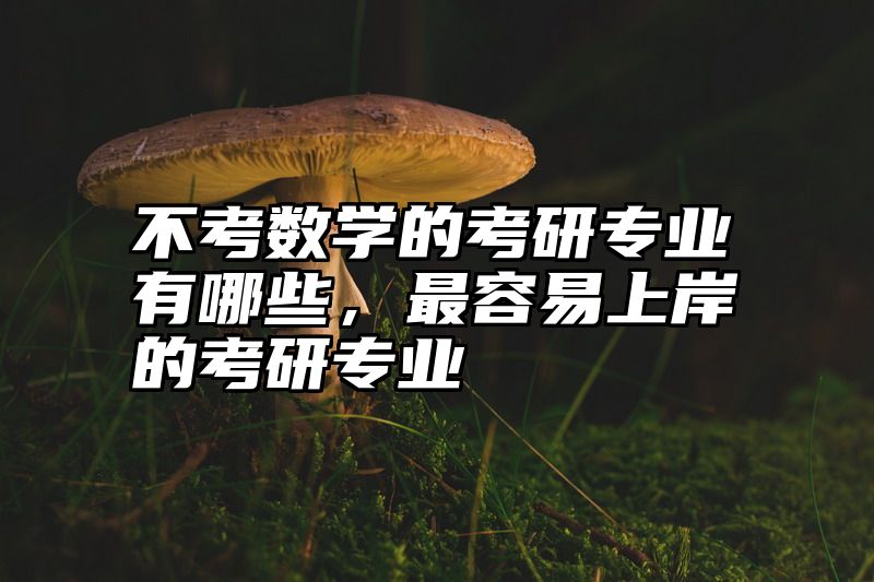 不考数学的考研专业有哪些，最容易上岸的考研专业