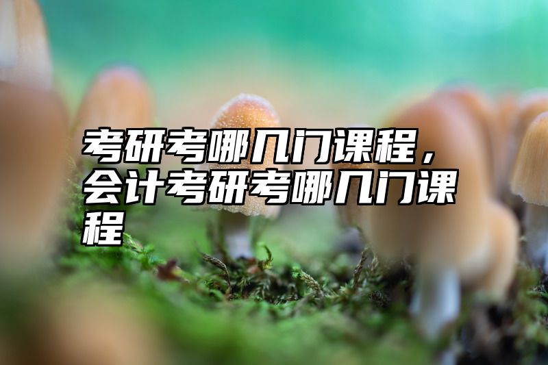 考研考哪几门课程，会计考研考哪几门课程