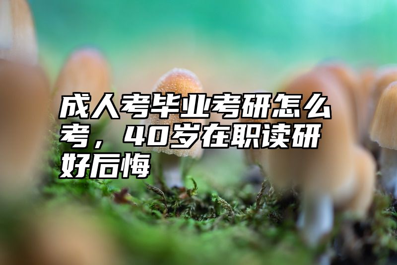 成人考毕业考研怎么考，40岁在职读研好后悔