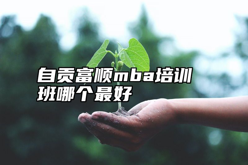 自贡富顺mba培训班哪个最好