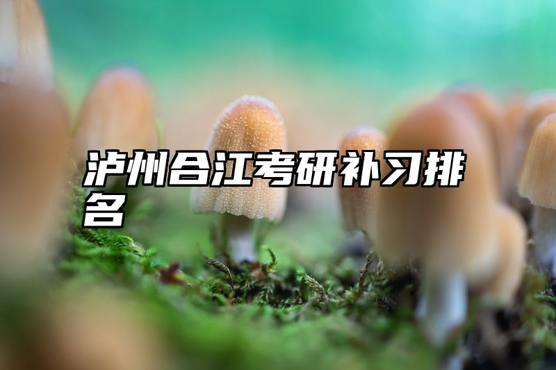 泸州合江考研补习排名