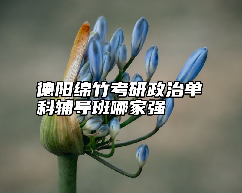 德阳绵竹考研政治单科辅导班哪家强