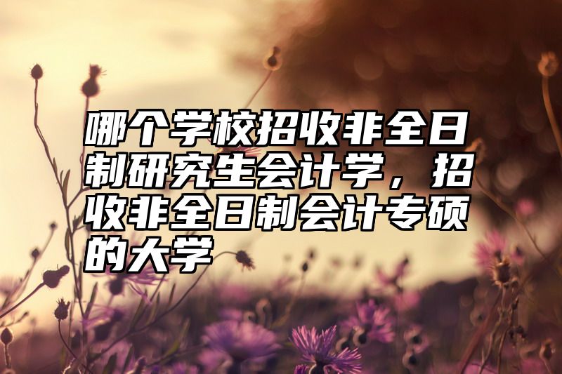 哪个学校招收非全日制研究生会计学，招收非全日制会计专硕的大学